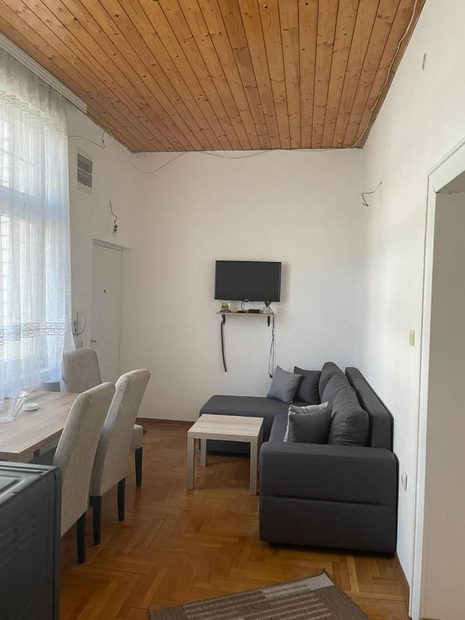 Vila Miletic Vrnjacka Banja Exterior photo