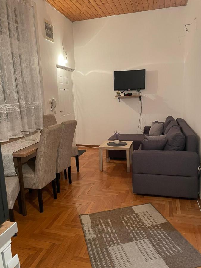 Vila Miletic Vrnjacka Banja Exterior photo