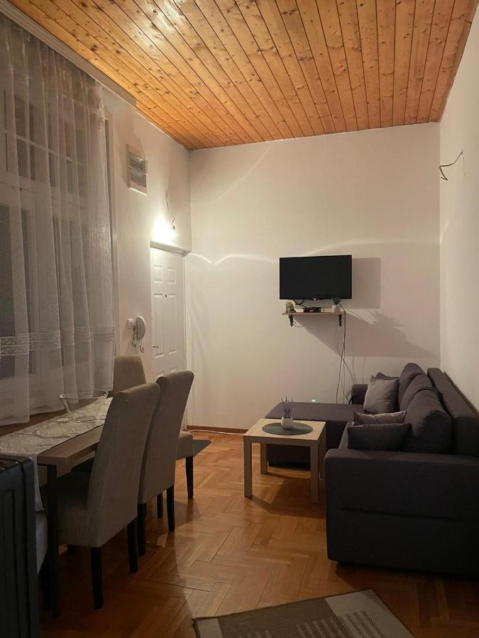 Vila Miletic Vrnjacka Banja Exterior photo