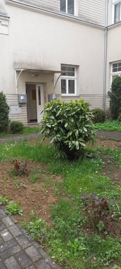 Vila Miletic Vrnjacka Banja Exterior photo